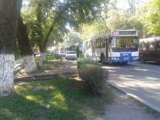 Троллейбусы создали пробку по улице Московская, - читатель <b>(фото)</b>