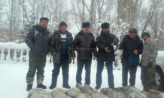 Жители Ат-Башинского района отстрелили 6 волков и 1 шакала <i>(фото)</i>