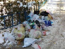 Жители дома на ул.Ахунбаева складируют мусор в неположенном месте, - горожанин (фото)
