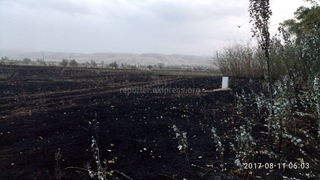 Недавно неизвестные подожгли траву в районе Киргизии-1, и это не первый случай, - читатель (фото)