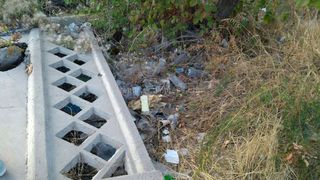 В селе Таш-Мойнок Аламединского района много мусора, - читатель (фото)