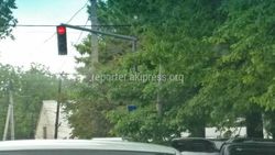 На Жибек Жолу - Турусбекова ветки дерева закрыли обзор дорожных знаков (фото)