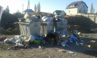 В жилмассиве Ак-Өргө не убирается мусор, - читатель (фото)