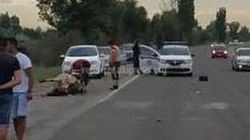 На автотдороге Бишкек—Каракол машина насмерть сбила корову, - очевидец <i>(видео)</i>