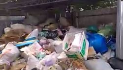 В селе Таш-Добо Аламединского района не вывозят мусор (видео)