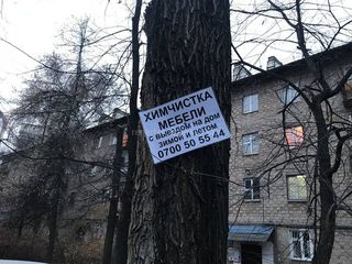 Житель Бишкека возмущен рекламой, которая прибита к дереву <i>(фото)</i>