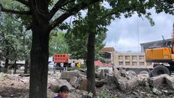 На Дэн Сяопина–Садыгалиева снесли старое здание и вместе с ним хотят срубить здоровые деревья (фото)