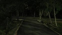 В парке «Театральный» возле ЦУМа нет уличного освещения (фото)