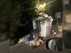 Житель жалуется на переполненный мусорный контейнер возле дома в 6 мкр
