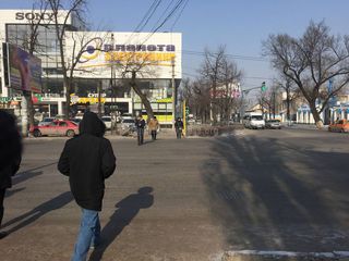 Бишкекчанин просит продлить время действия зеленого света светофора на Жибек Жолу-Тоголок Молдо (фото, видео)