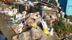 В Караколе на Коенкозова - Жакыпова во дворе домов №103 и №105 не вывозят мусор (видео)