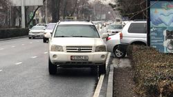 На Московской «Тойоту» припарковали на проезжей части дороги. Троллейбусам приходится объезжать ее <i>(видео, фото)</i>