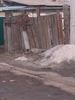 На Рыскулова-Павлова жители выбрасывают золу на улицу, - читательница Элегия (фото)