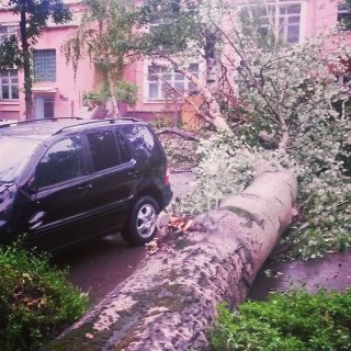 Последствия ливня в Бишкеке - поваленные деревья, столбы и транспортный коллапс <b>(фото, видео)</b>