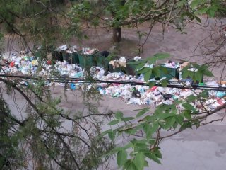 В 8 микрорайона несколько дней не вывозят мусор, - читательница <b>(фото)</b>