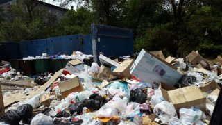На Тыныстанова — Ахунбаева не вывозят мусор и не подают воду для полива зеленых насаждений <b>(фото)</b>