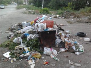 Жители ул. Щербакова и Орозбекова просят убрать мусор <b>(фото)</b>