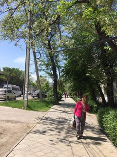 На пересечении улицы Боконбаева с проспектом Манаса в Бишкеке свисает кабель
