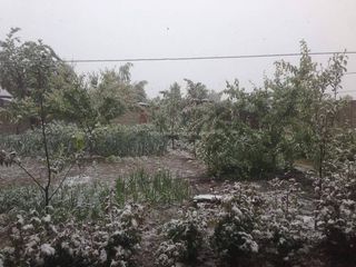 Видео — В 20 км от Бишкека идет снег