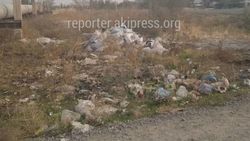 Участок улицы в Ак-Орго, на котором лежит мусор, обслуживает частная компания