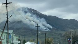 Пожар в горах недалеко от Бишкека. Фото
