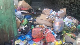 На улице Масалиева в Оше не забирают мусор <i>(фото)</i>