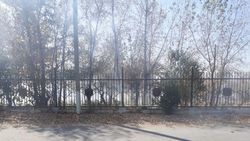 В Базар-Коргоне горит центральный парк. Фото