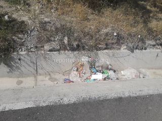 Вдоль улиц в западной части Бишкека не убирается мусор, - житель (фото)