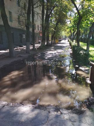Вода затопила тротуар на пр.Айтматова (фото)