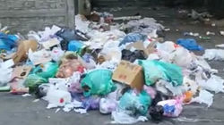 Возле дома на Панфилова снова свалка мусора. Видео