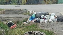 На Щербакова мусор лежит неделю. Видео
