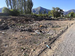 Село Кашат на Иссык-Куле завалено мусором. <b>Фото</b>