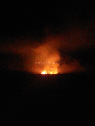 Пожар на участке лесного хозяйства в с. Тору-Айгыр на Иссык-Куле, - читатель <b><i>(фото)</i></b>