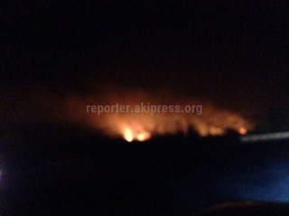 Рядом с городом Токмок ночью горел лесок <i>(фото)</i>