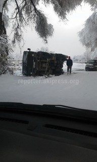 В селе Новопавловка перевернулся грузовик (фото)