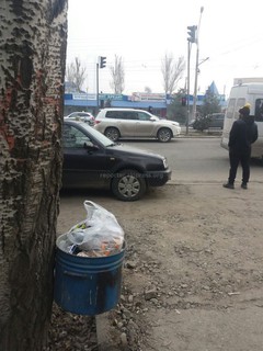 В Бишкеке возле рынка «Мадина» к дереву прибили кастрюлю, используемую вместо мусорного бака