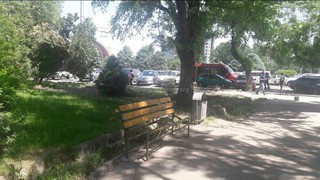Нужно отремонтировать скамейки на ул.Шопокова в Бишкеке, - читатель (фото)