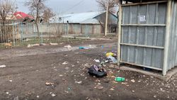 На Салиевой-Пархоменко из-за грязи на дороге невозможно подойти к мусорным бакам, - бишкекчанин (видео)