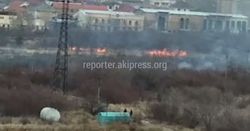 Видео – В Бишкеке возле ботанического сада горит сухотравие