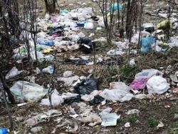 Микрорайон Металлург в Кемине завален мусором