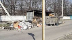В Бишкеке на улицах Садыгалиева и Кайназарова не вывозят мусор, - горожанин (фото)