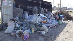 В Арча-Бешике на ул.Чортеков не вывозят мусор, - местный житель (фото)