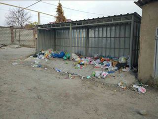 Жители ул.Новосельской в Бишкеке просят определить места для мусорных баков подальше от домов (фото)