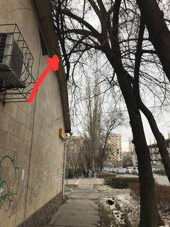 На Боконбаева-Панфилова над тротуаром висит сломанная ветка дерева, которая может упасть при ветре, - читатель (фото)