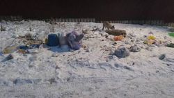 В селе Таш-Добо убрали мусорные контейнеры, жители бросают мусор на улицу. Фото