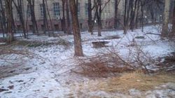Горожанин просит убирать солому в сквере на ул.Тыныстанова. Фото