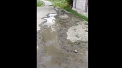 На улице Кокеева в селе Панфиловское прорвало трубу, чистая вода топит улицу. Видео