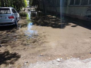 В Бишкеке на ул.Лумумбы прорвало водопроводную трубу. Двор домов затоплен <i>(видео)</i>
