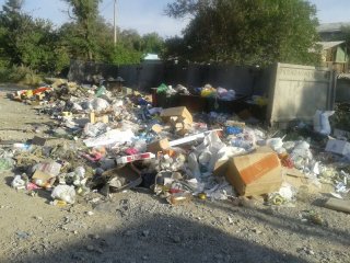 В районе Института земледелия не убирают мусор <b>(фото)</b>