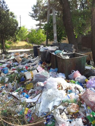 Читатель предлагает увеличить количество мусорных баков на ул. Орджоникидзе <b>(фото)</b>